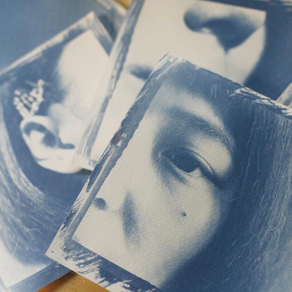 田园蓝晒带你捕捉植物剪影