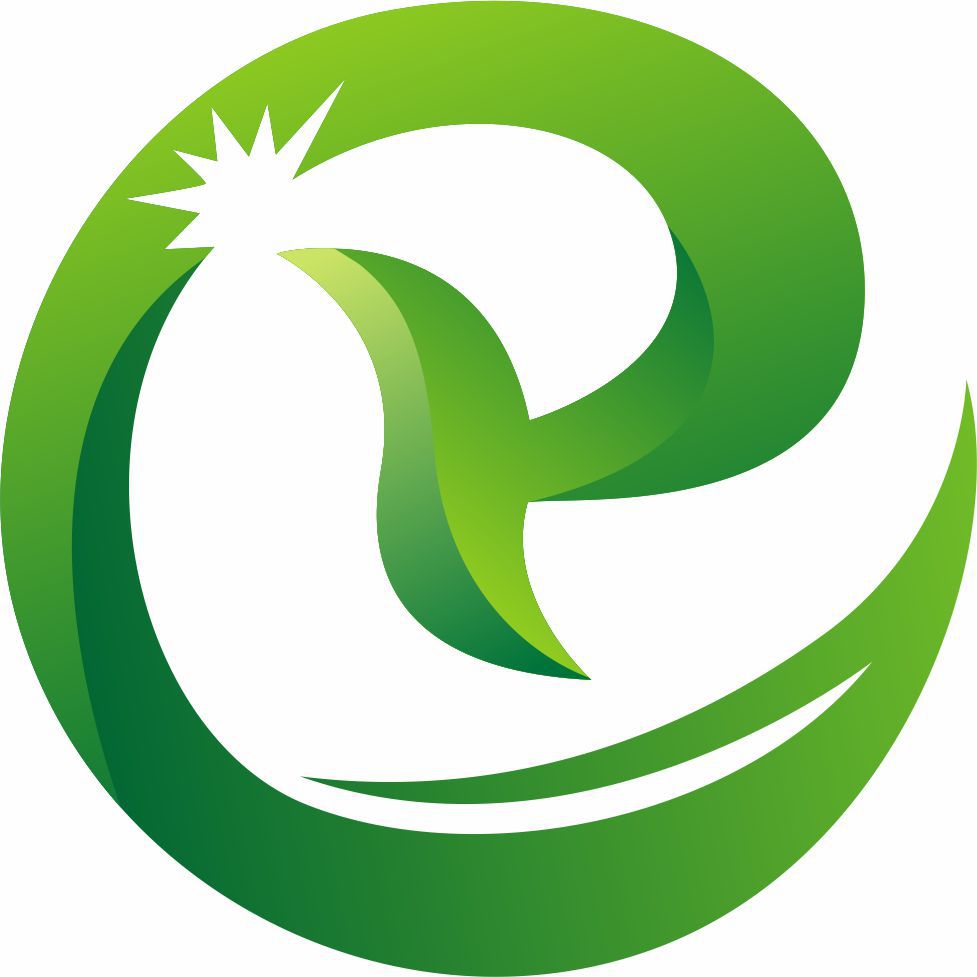 绿色电网源聚巴中一