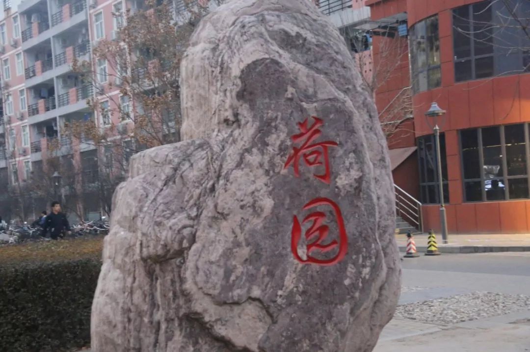 郑州大学(主校区)学生宿舍分为四个园区,从南到北依次是柳园,荷园