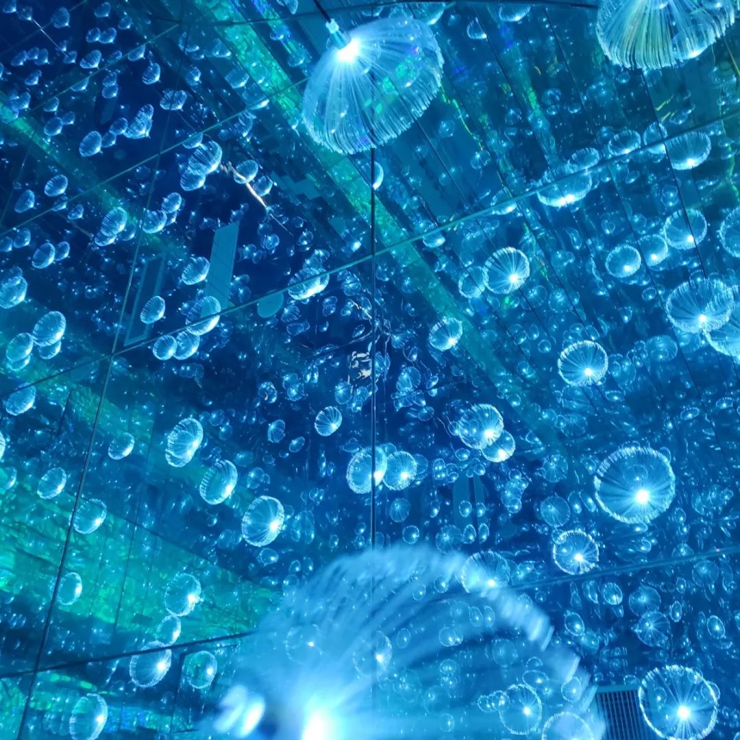 上海豫园星空梦幻馆399元门票火爆抖音的星空馆16个主题场馆浩瀚唯美