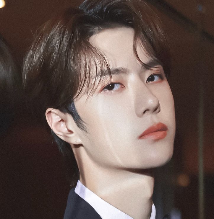 王一博穿西装参加盛会,看到他的正面照, 模样像是一位富家公子