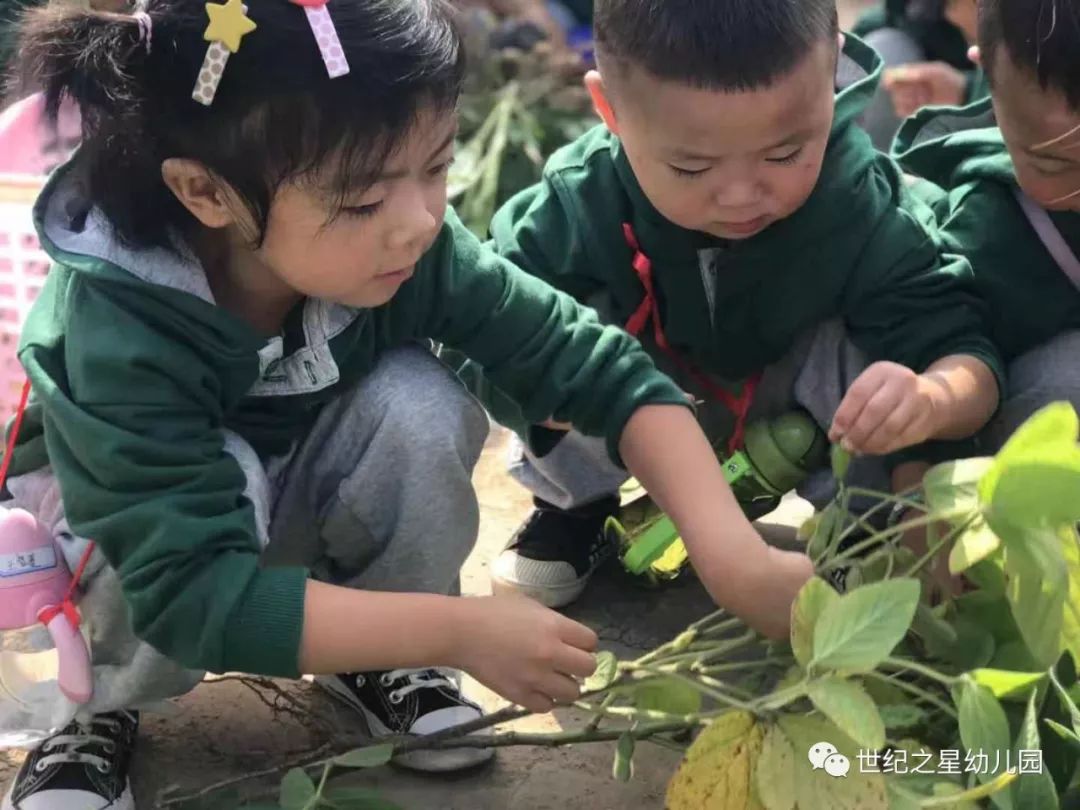 博苑世紀之星幼兒園擁抱自然快樂採摘農場實踐活動暨新學期家長會