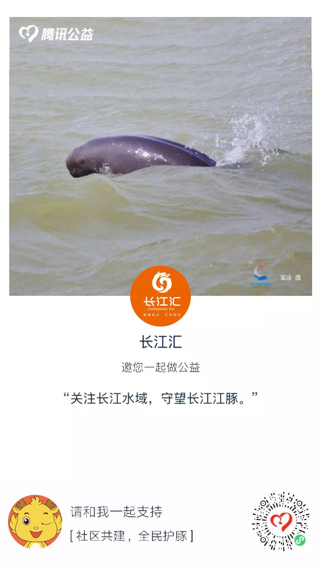 按钮步骤四输入捐款金额步骤五点击红色确定按钮你就为保护长江江豚