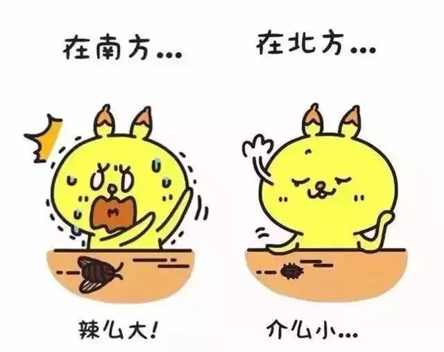 上了大学才知道南北方差异竟然这么大你是否感同身受