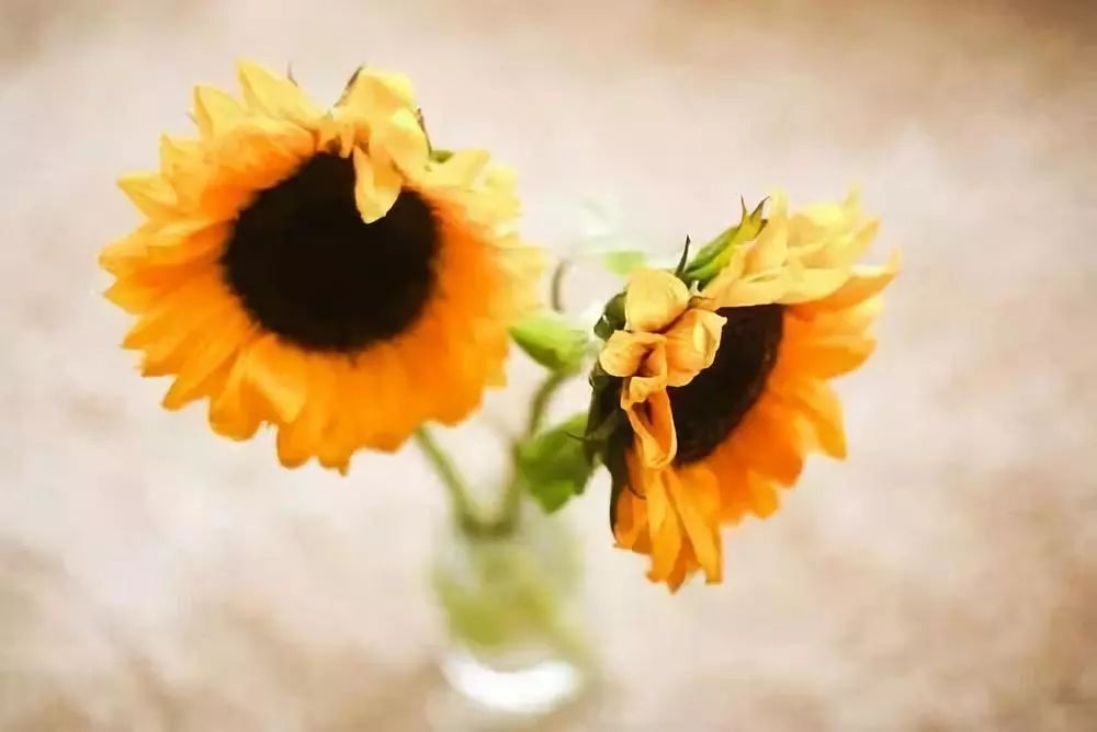 我倒不十分怕太太,可是对别的女人老觉着恐慌,我不大明白妇女的心理