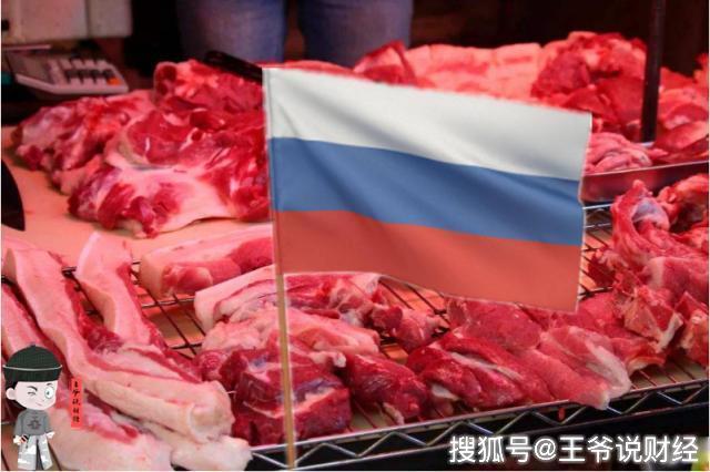 中国猪肉3459元公斤俄罗斯希望1年内可以对华出口猪肉和牛肉