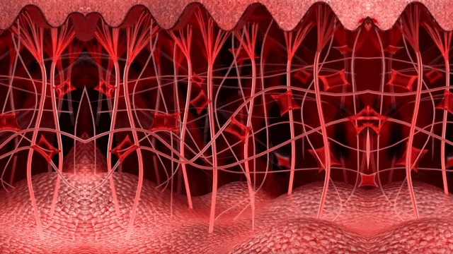 一合照就输?学会这几招秒get巴掌小v脸!