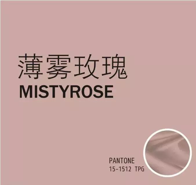 2020春夏重点流行色趋势薄雾玫瑰