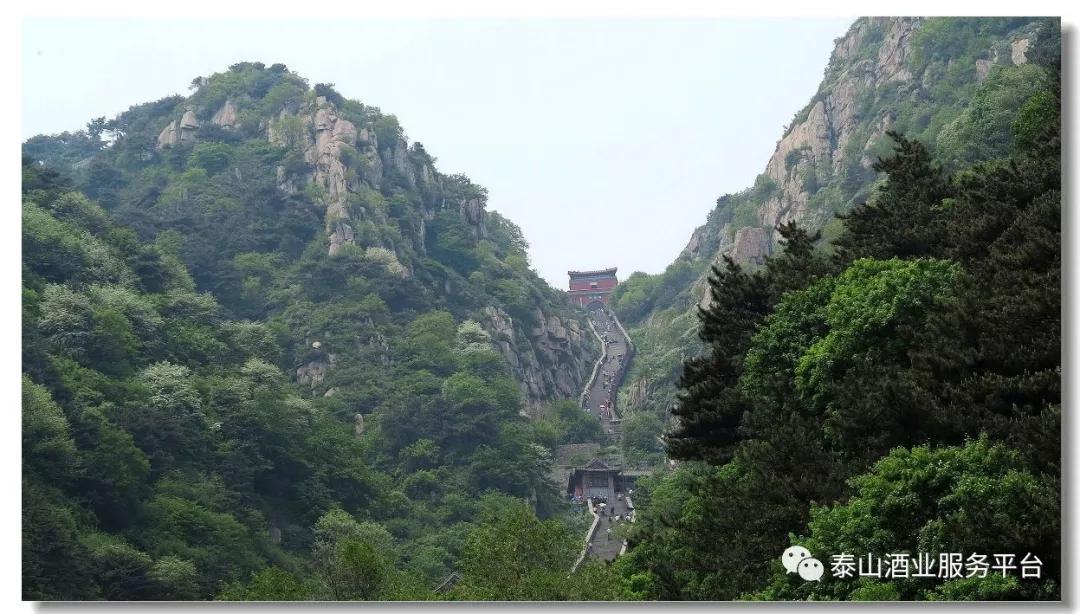 「稳如泰山酒」被授予"第33届泰山国际登山节"指定用酒!