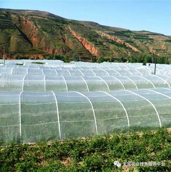 渔网厂家如何紧抓行业动态与市场风向