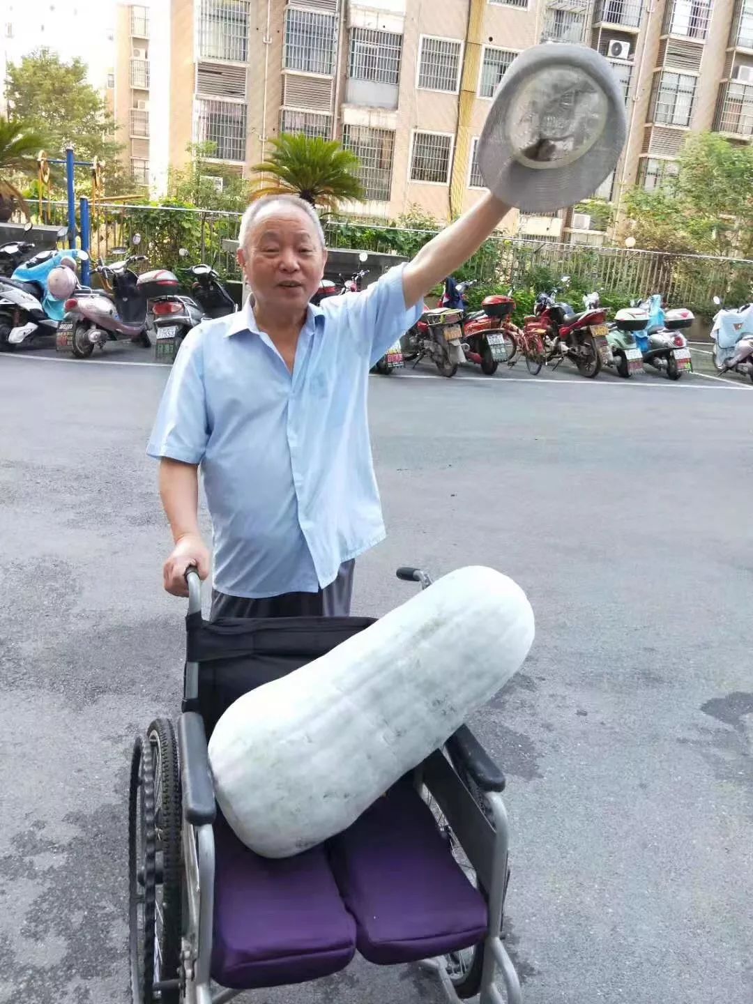 老有所乐吴爷爷种了一个40斤重的大冬瓜