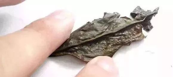岩茶有"蛤蟆背"就是好吗?很多茶友都误会了!_茶叶