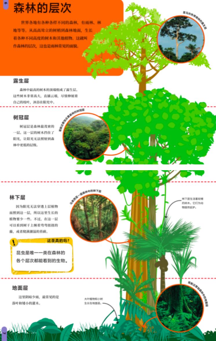 说到儿童科学书的思维之美，我只服DK_森林