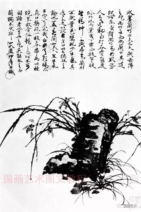 卢坤峰兰谱选页分享