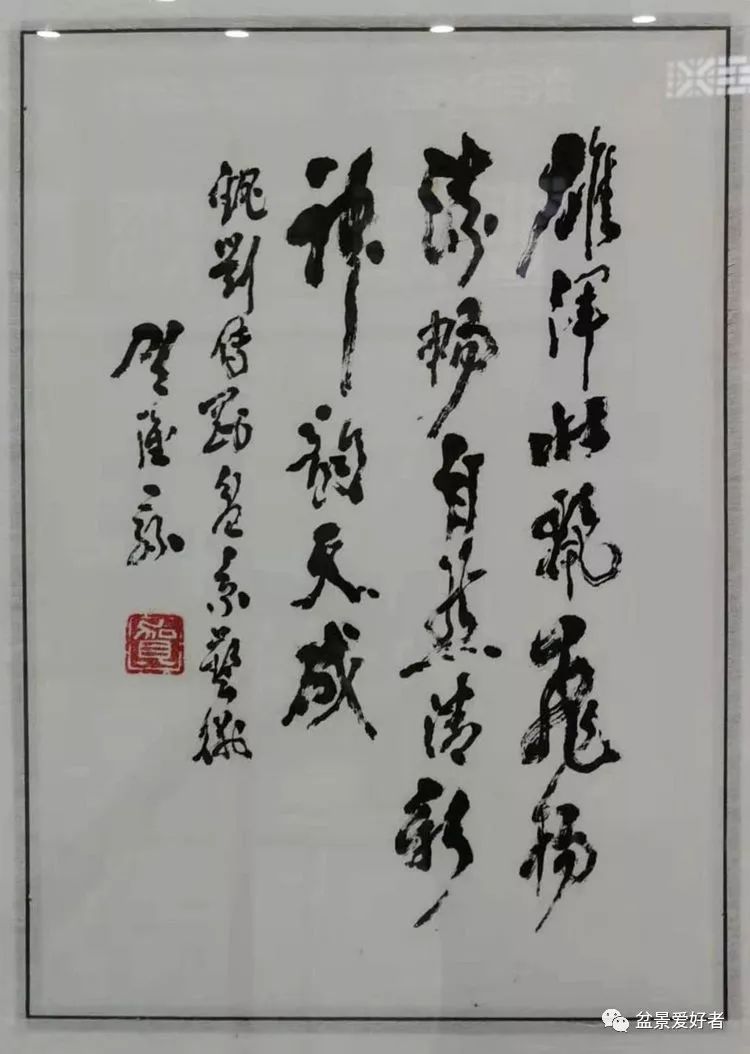 老师印象贺淦荪老师六周年去世缅怀