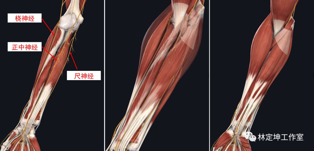 除了可能是颈椎病,还有可能是._神经