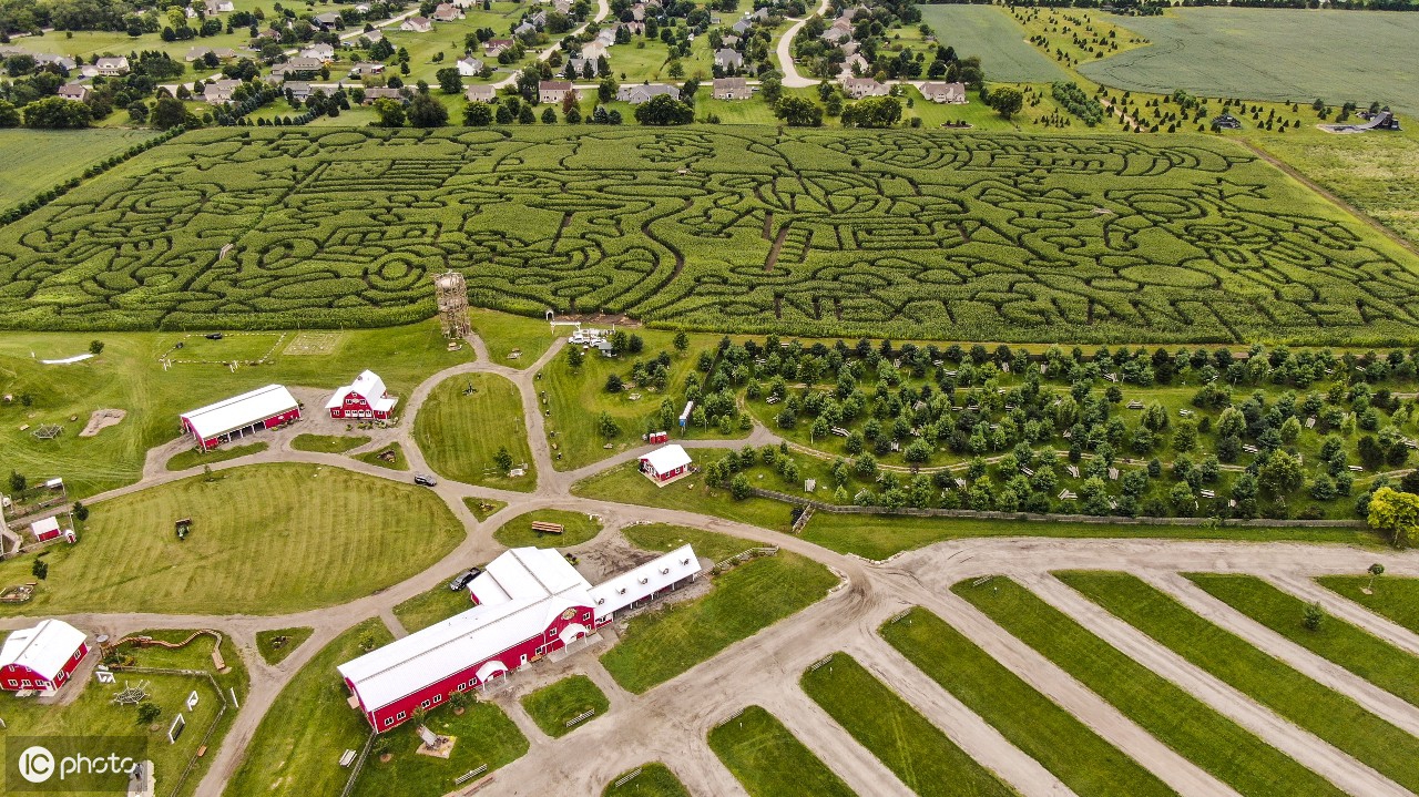 2019年9月4日美国占地28英亩的越大型迷宫