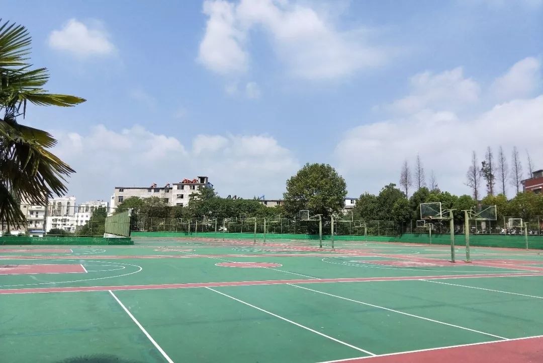 我与你的锦色年华宿松中学