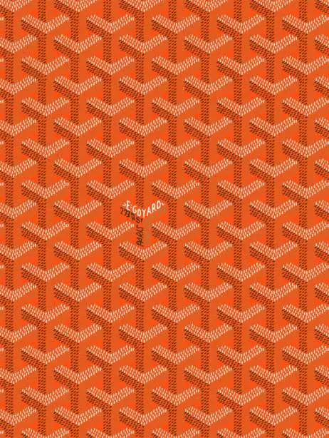 如果没有限制,你会把什么印在球鞋上_goyard