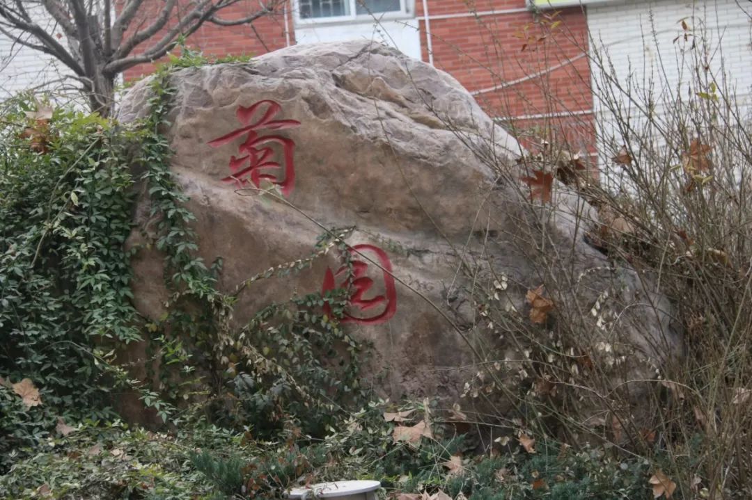 郑州大学(主校区)学生宿舍分为四个园区,从南到北依次是柳园,荷园