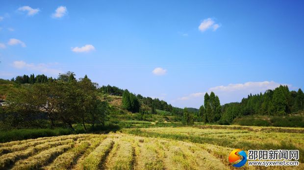 养驴产业发展扶持办法(养驴产业发展扶持办法有哪些)