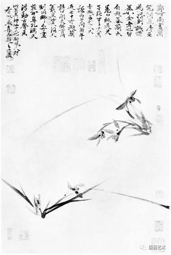 卢坤峰兰谱选页分享