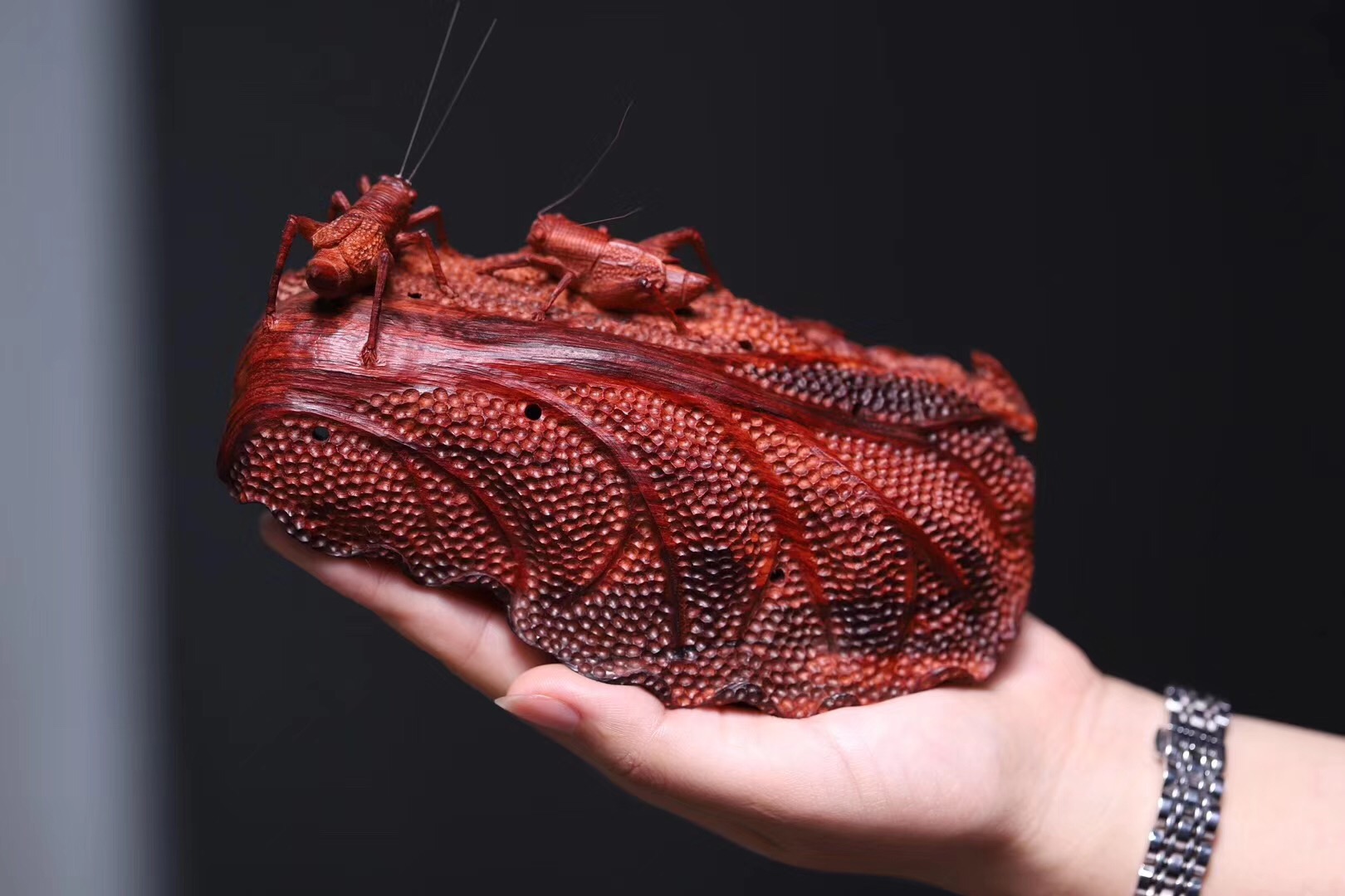 小小的虫子你比它们厉害吗看根雕木雕昆虫