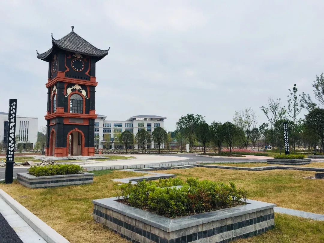 资阳口腔职业学院最新航拍图来了!