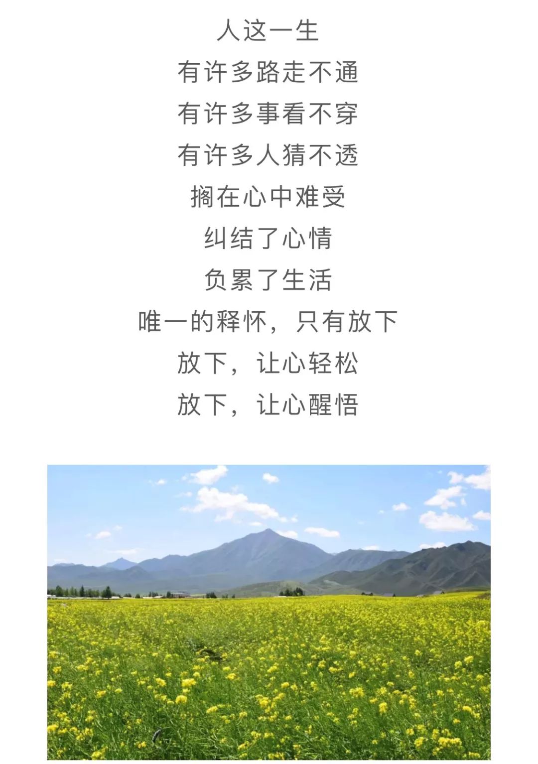 【周末品读】有一种释怀叫放下