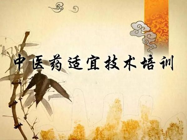 中药研发：传统与现代交融的艺术之路