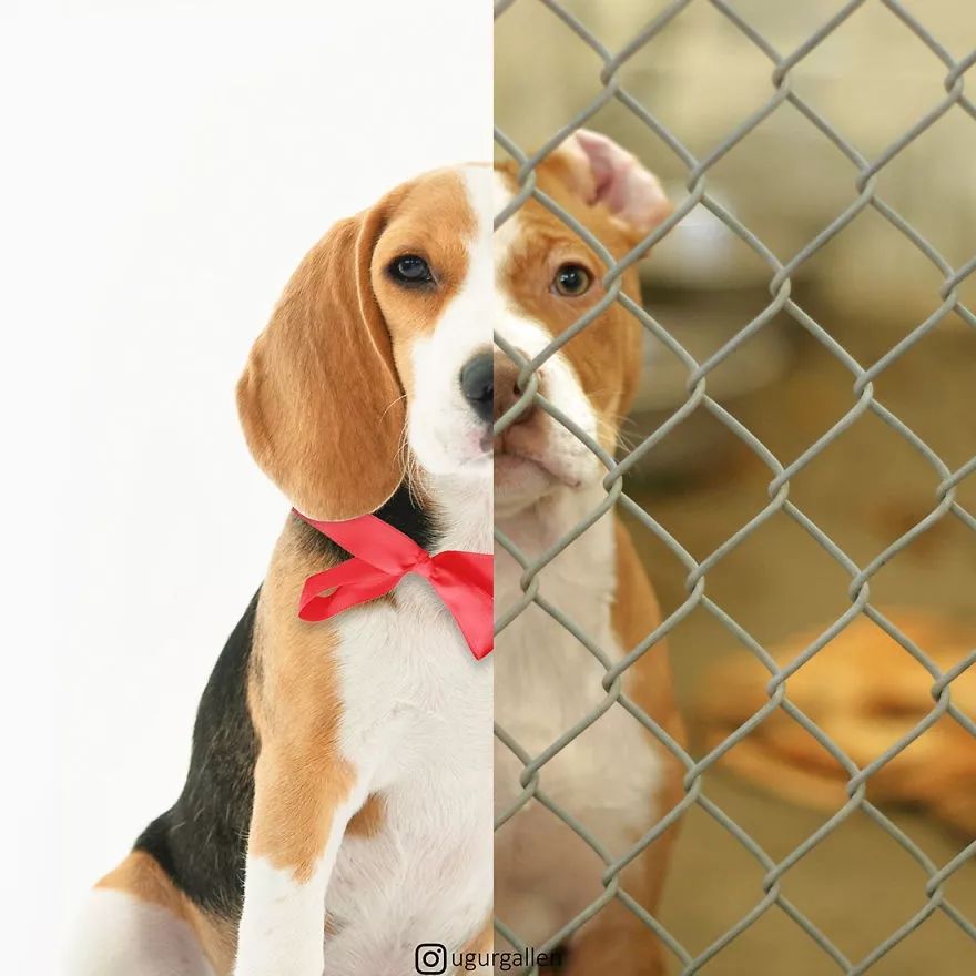 原创同一个地球不同的世界这些强烈反差的照片引人深思