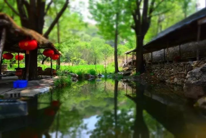 【仲秋天天发】又是一年酸甜季:博山猕猴桃采摘 石鳖湾大峡谷 特色