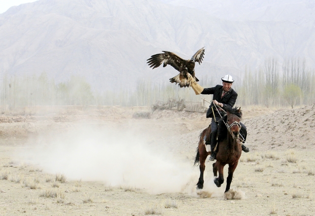 彪悍的柯尔克孜族驯鹰人_猎鹰