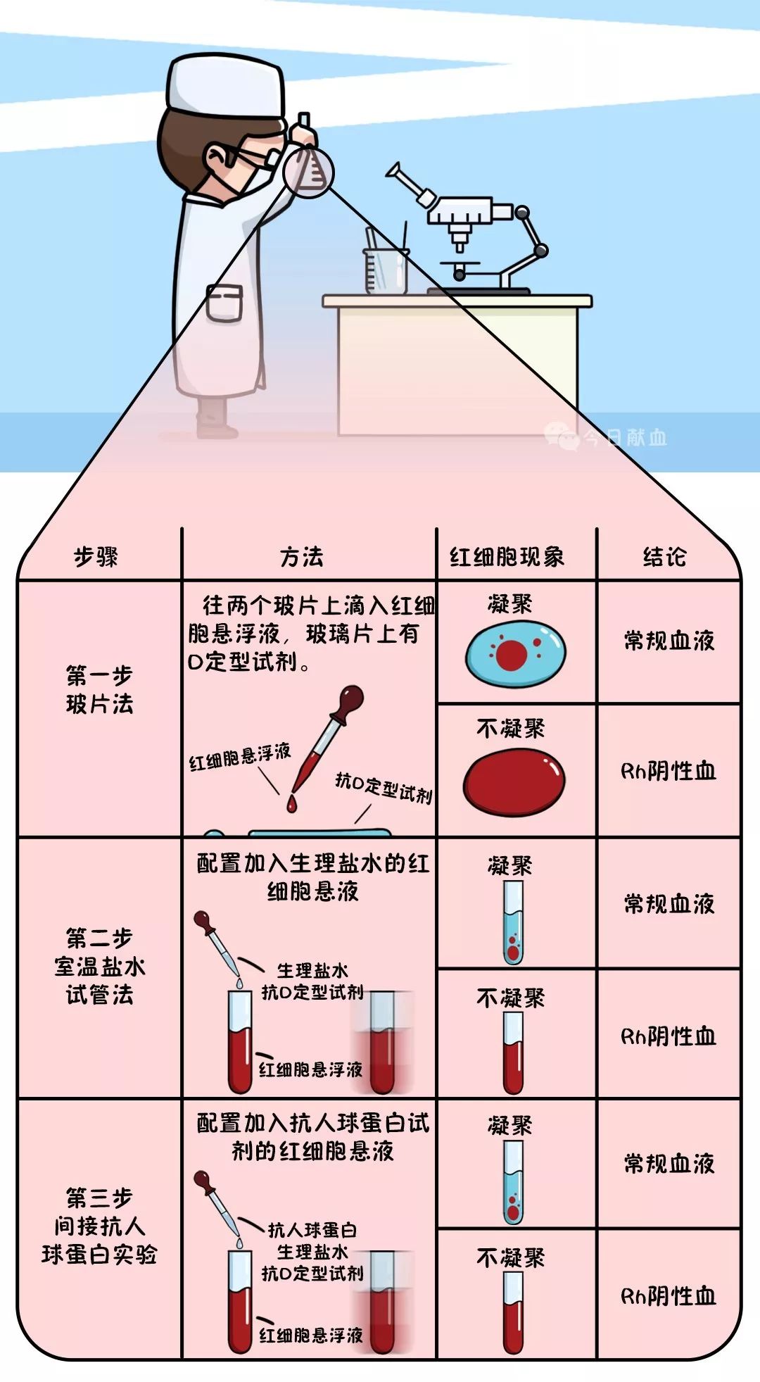 同样是血熊猫血为啥更贵