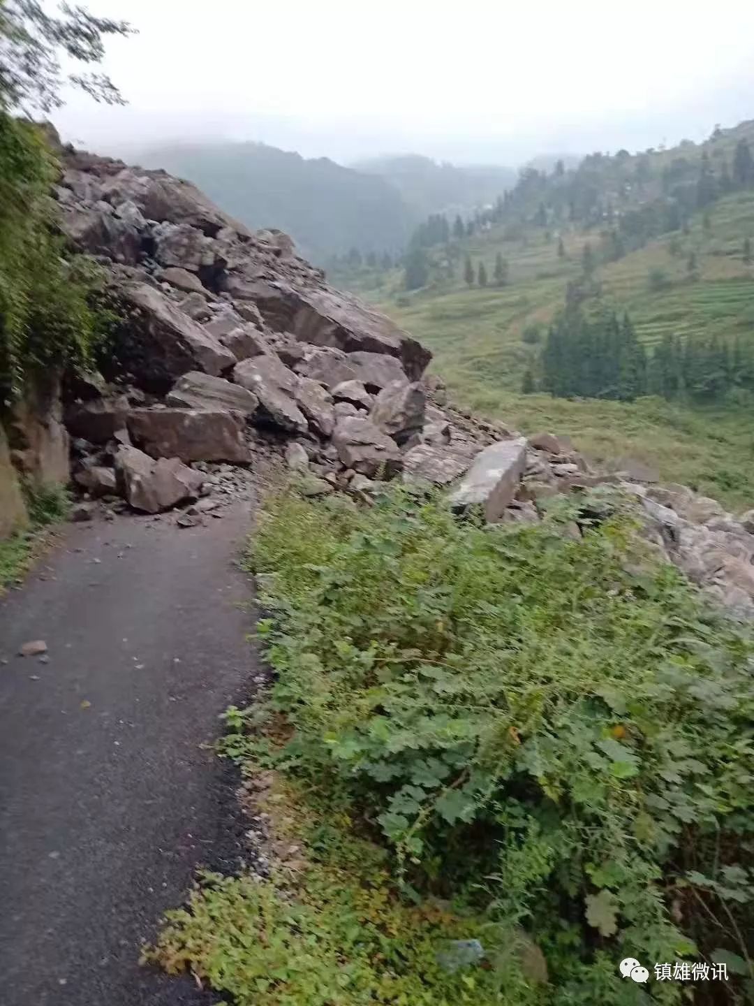 视频镇雄笋子反坡山体滑坡瞬间被村民拍到场面相当吓人