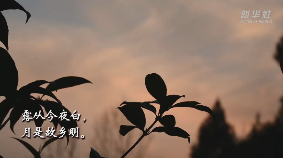 白露丨秋意浓,天凉莫忘添衣