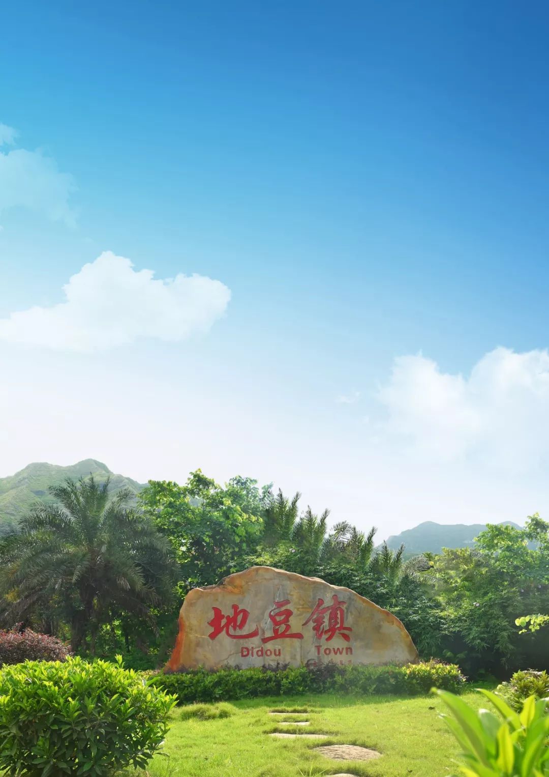 在家门口也能森呼吸四会地豆持续创建省级森林小镇