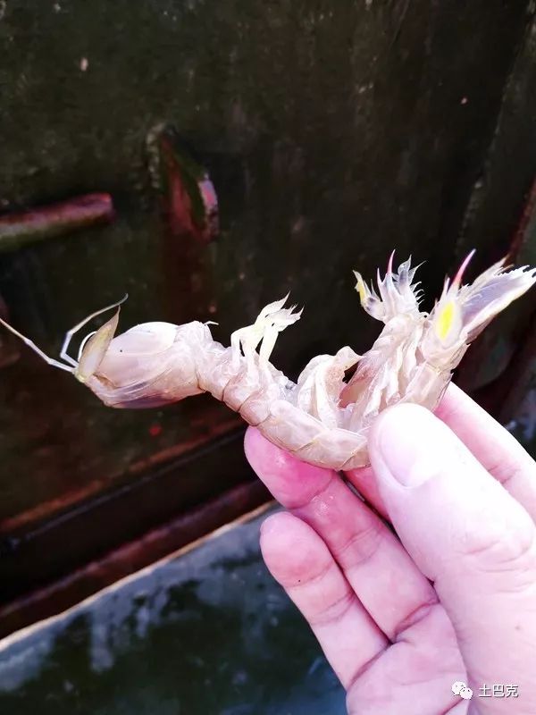 不忘初心砥砺前行记土巴克团队青岛日照三日游