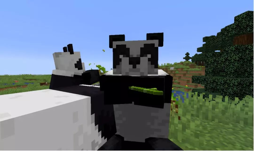 我的世界大熊猫只会卖萌打滚你不知道它几万年来经历了什么