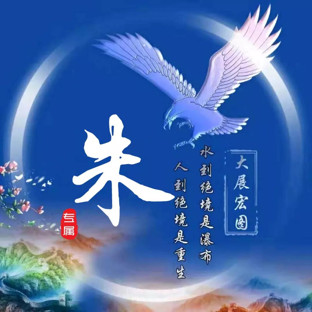 大鹏一日同风起,扶摇直上九万里.喜欢你就快来定制!