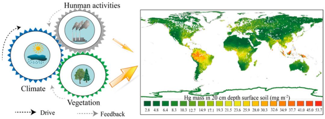 environmentalsciencetechnology全球表层土壤hg分布状况及其驱动因素