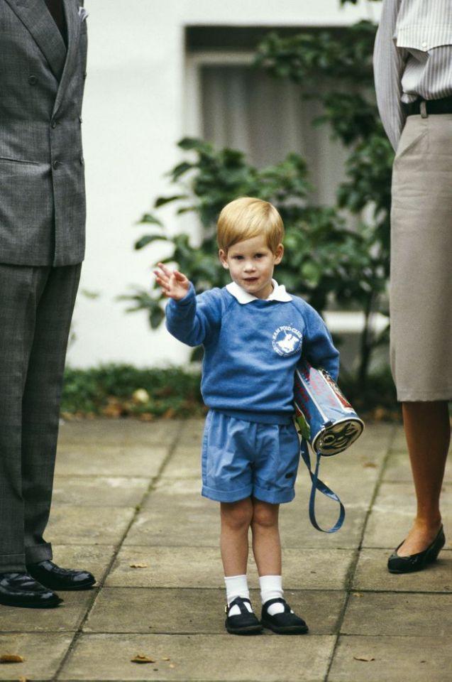 威廉王子小时候太萌了小哈文挥手与媒体告别
