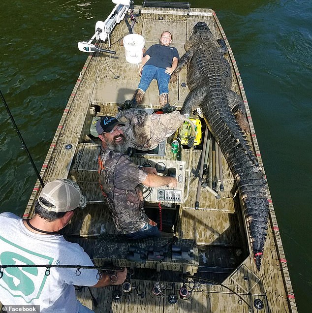 美國14歲少女勇助父親獵殺世界最長鱷魚700磅43米長