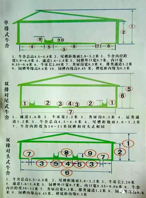 牛食槽图片大全尺寸图片