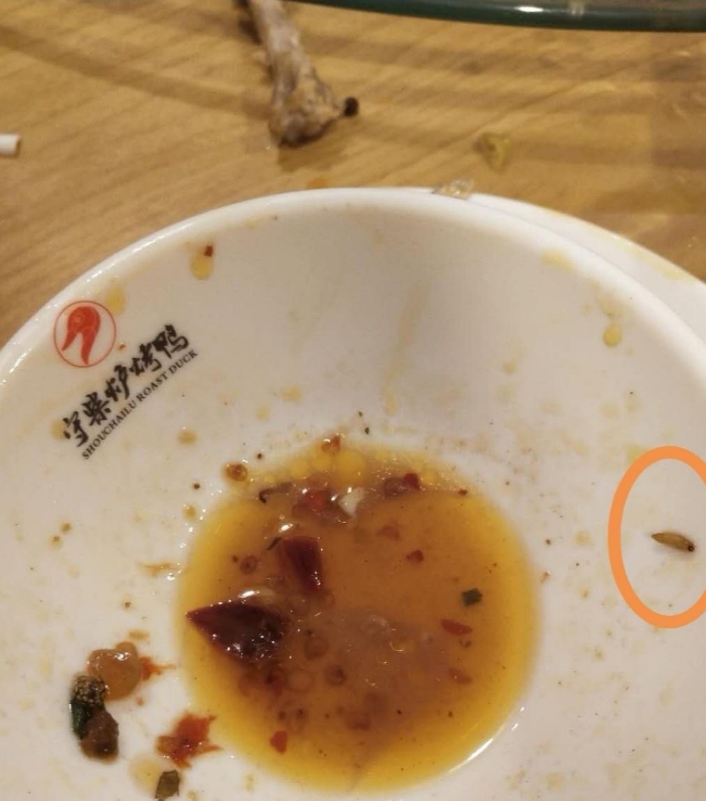 恶心!安康一餐饮店就餐竟吃出蛆虫