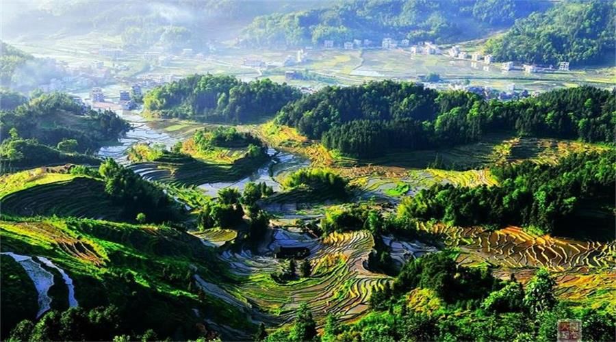 涟源墙纸批发