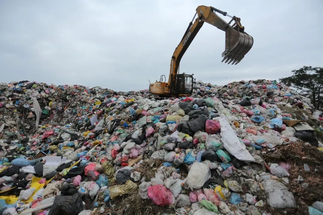 纽约女生自曝7天零垃圾生活善待环境就是善待你自己