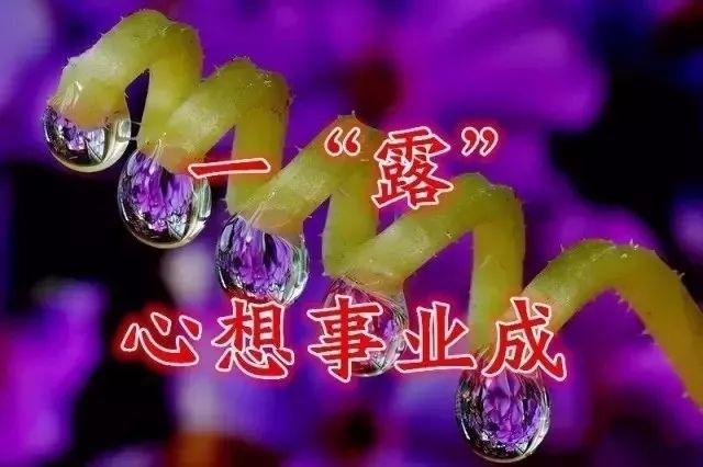 今日白露天氣轉涼送你一份暖心的祝福祝你幸福安康