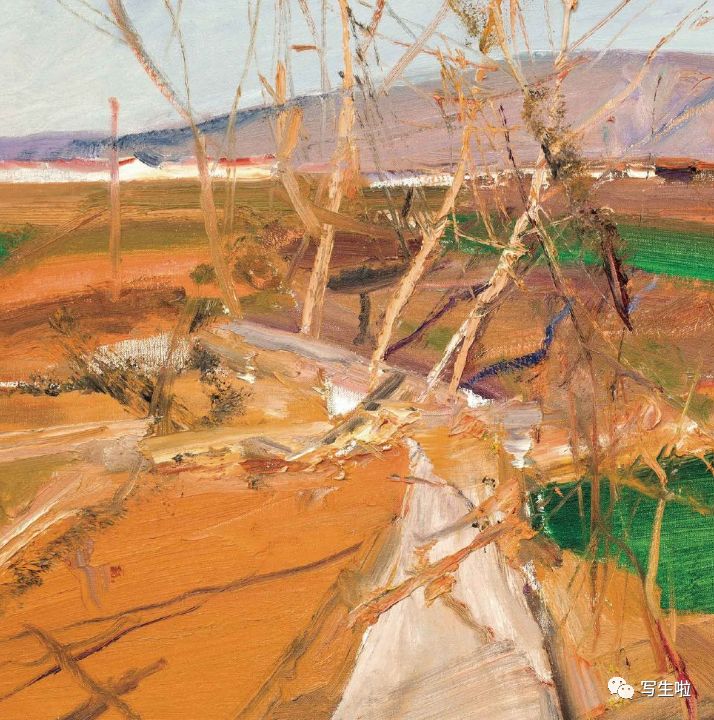 写生啦在写生中焕发出灿烂明晰的节奏丨杨参军风景作品集附新作