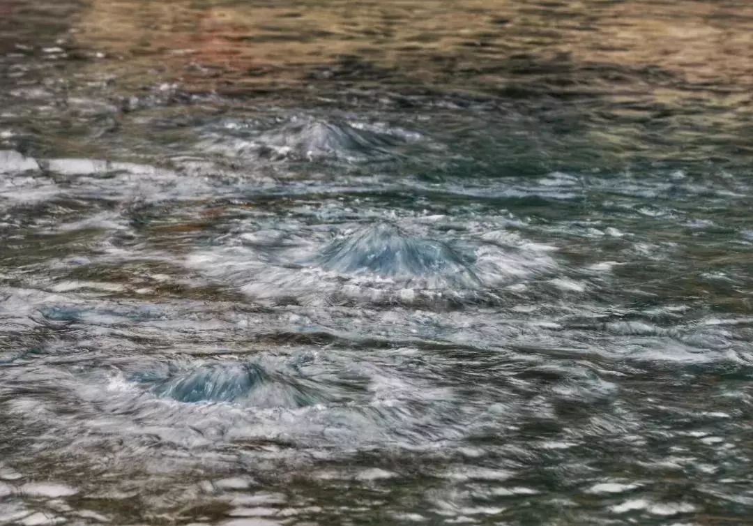 泉城联欢济南泉水复涌16周年了